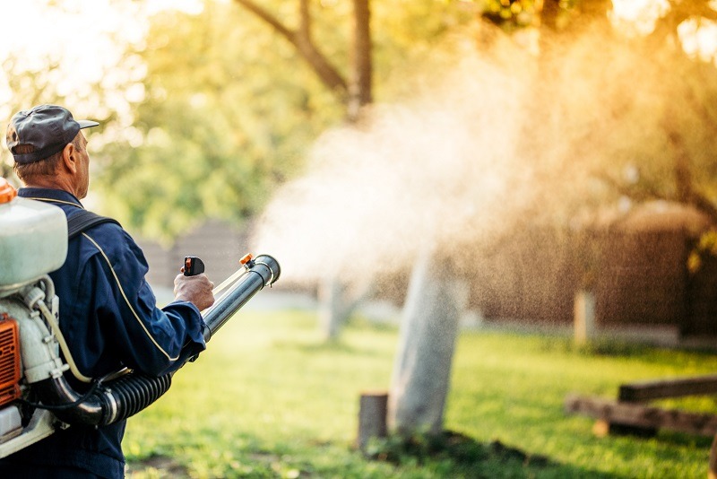 mosquito control