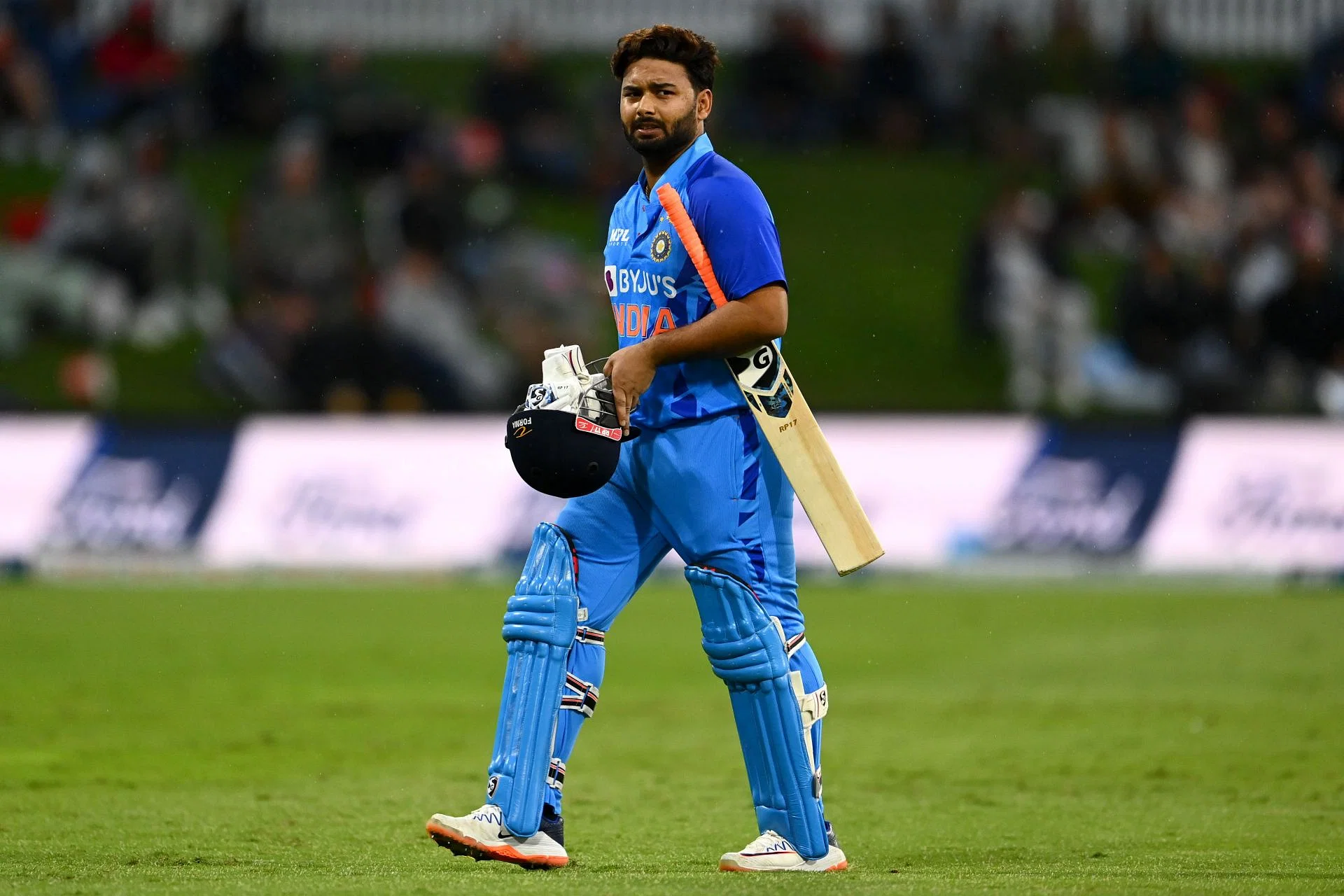 Cricket