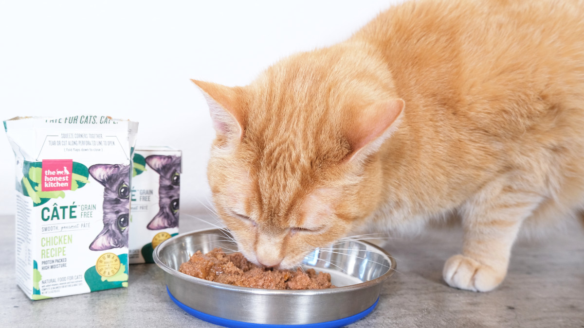 IAMS Cat Food