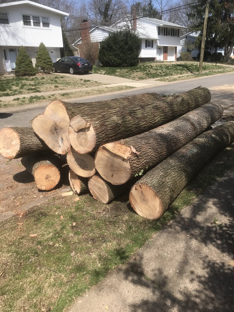 Firewood for Sale