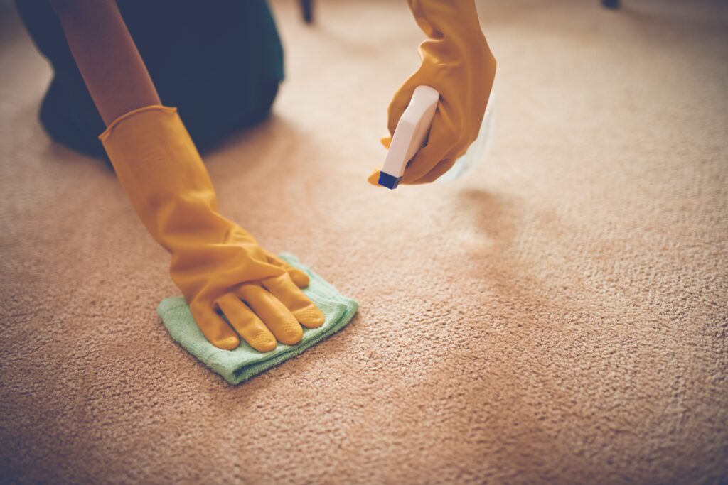How Can You Find Trusted Rug Stain Removal Services in Dubai?