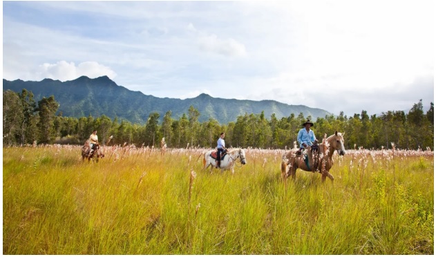 Horseback Riding Tours