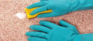 Rug Cleaning