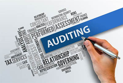 Audit Firm