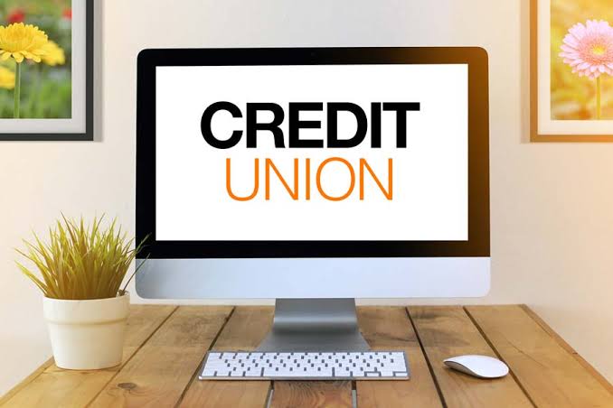 Credit Unions Explained: Meaning, Functions, and Key Features